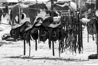 STL Polo . Game 3 @ Guards Polo Club